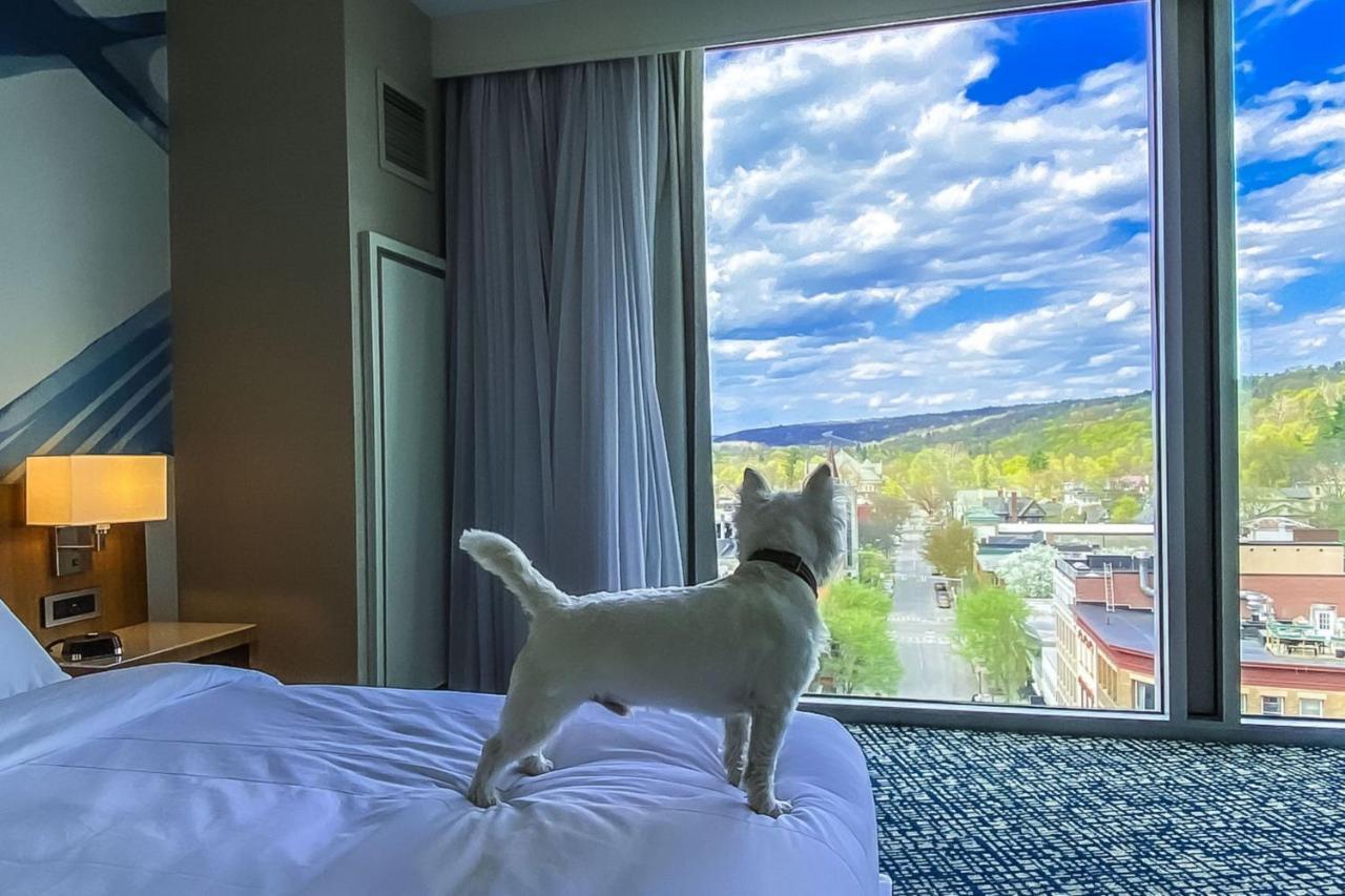 Готель Ithaca Marriott Downtown On The Commons Екстер'єр фото
